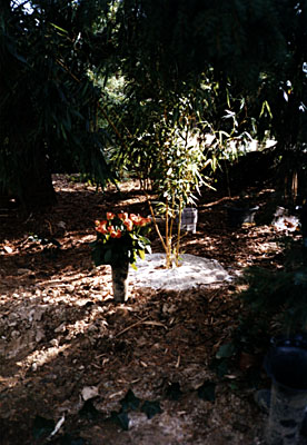 Gedenken in Geelen, NL